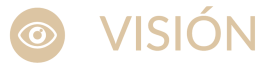 vision_img
